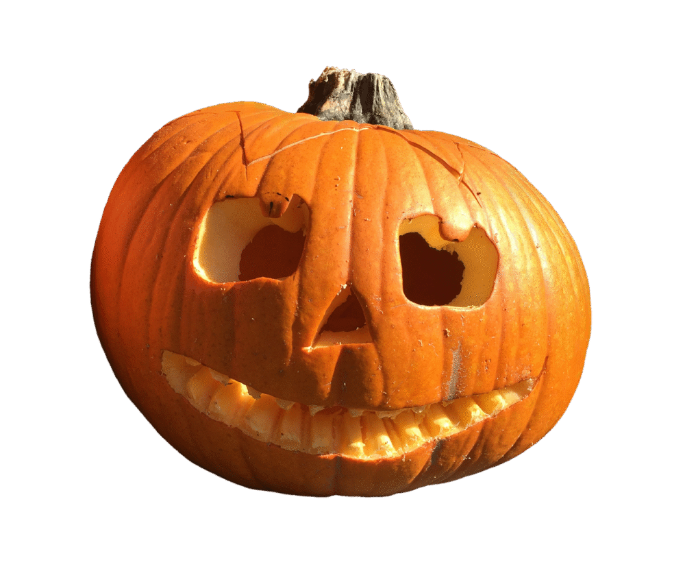 pumpkin, fruit, orange, fall, giant pumpkin, pumpkin plant, big, gigantic, food, vegetables, edible, meal, decoration, face, autumnal, autumn fruits, harvest, halloween, isolated, cut out, pumpkin, pumpkin, pumpkin, pumpkin, pumpkin, halloween